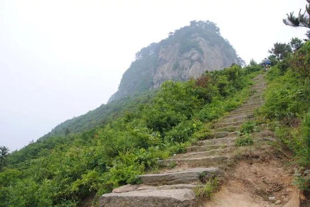 每日一景|走进大崎山风景区