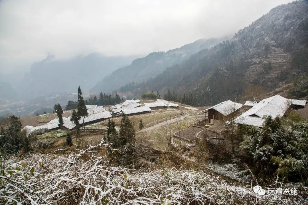 文斗下的雪震惊了全利川