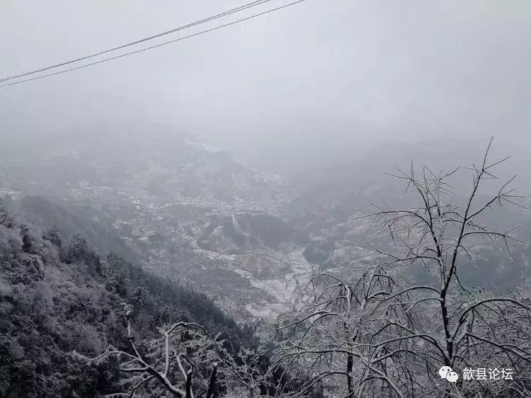 歙县:雪后长陔岭美的不像话.