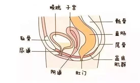 女性最容易生病的5个器官和保养妙招!