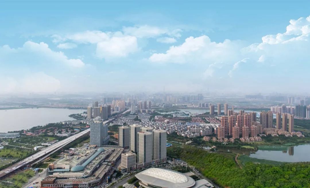 知名专家齐聚武汉集中评审武汉开发区(汉南)城市形象标识
