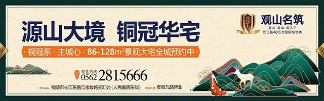 2017年铜陵人均gdp_2017年度安徽16市GDP排行榜:合肥逆天,铜陵惊艳,集体爆发!