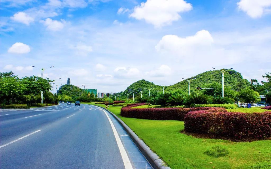 道路篇 | 道路绿化中,城市干道植物应怎样配置?