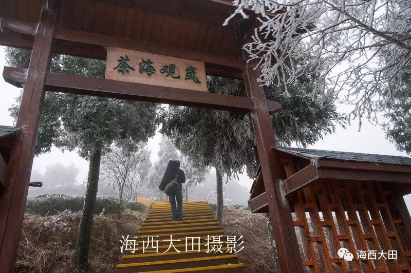 恍如仙境---航拍大田茶天下2018第一场春"雪"