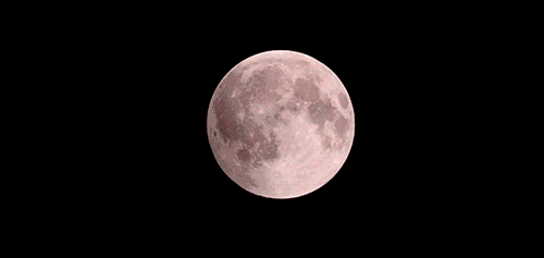 152年一遇!今晚有超级月亮+蓝月亮+红月亮