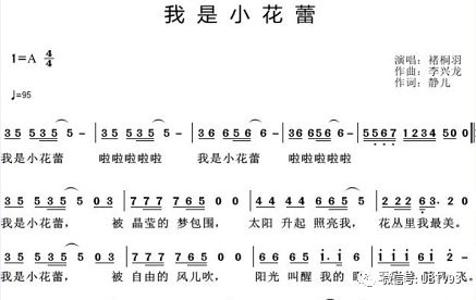 小蕾简谱_蕾西简谱(2)