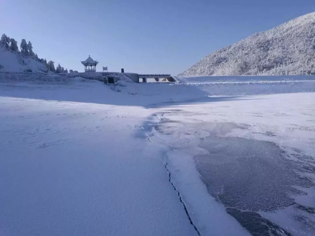 又下雪了!冷到7年不结冰的三潭印月都结冰了!究竟何时回暖?