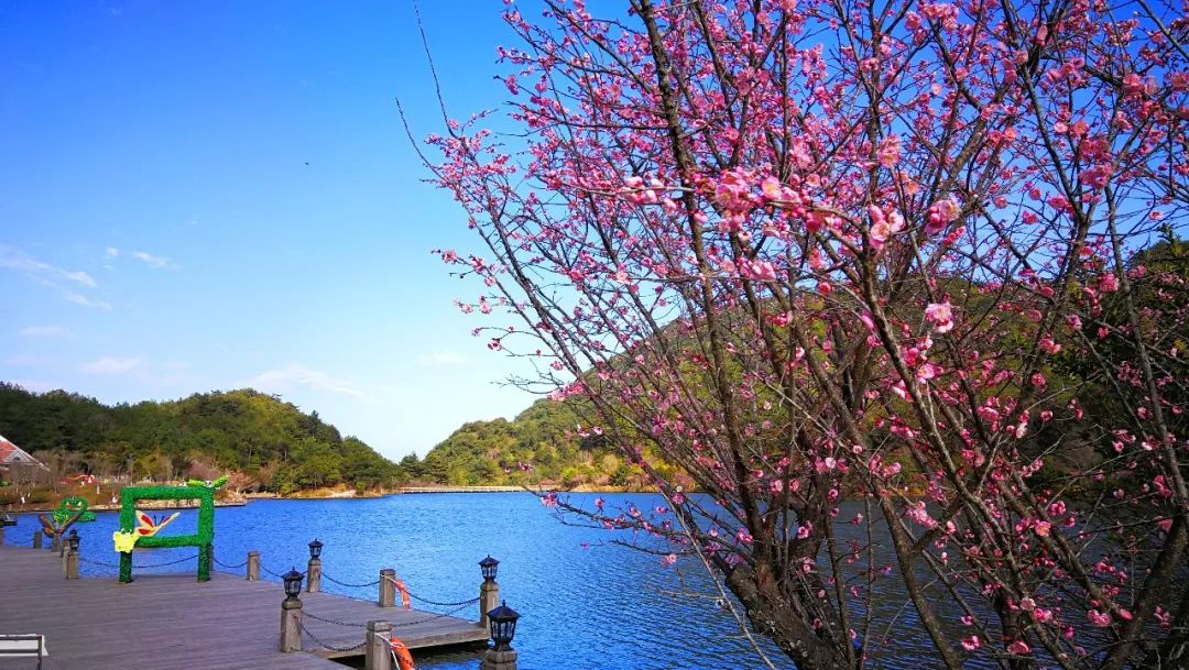 龙岩上杭梅花山现云海奇观,云围雾绕,好一处