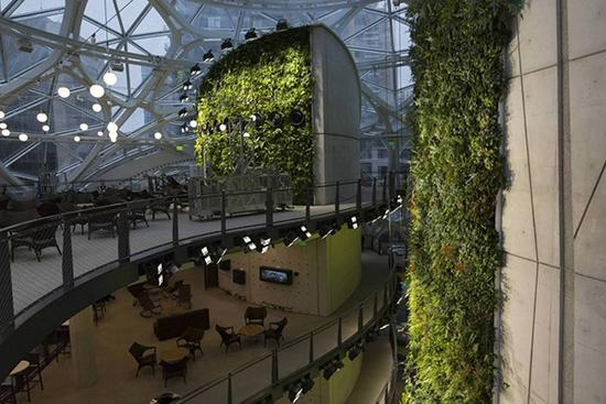 亚马逊公司花了40亿美元造热带雨林员工休息室
