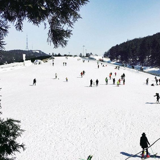 速抢!宁波奉化商量岗滑雪场,3小时滑雪联票,滑雪就去这里了!