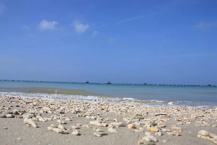 贝壳沙滩不仅是涠洲岛 海岸线最长的沙滩景点,还是个 观日出的好地方.