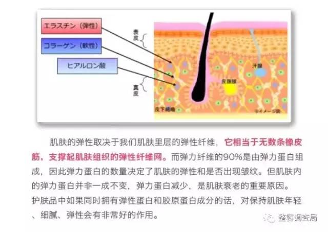 蛋粉的原理_图1. 白噪声发生器的完整原理图.(2)