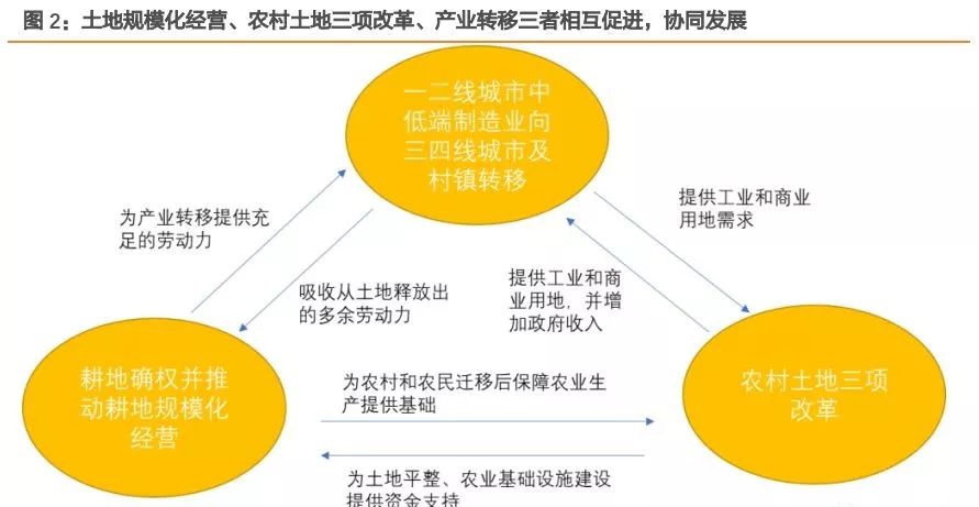 人口确权和土地有什么关系_跟我有什么关系图片