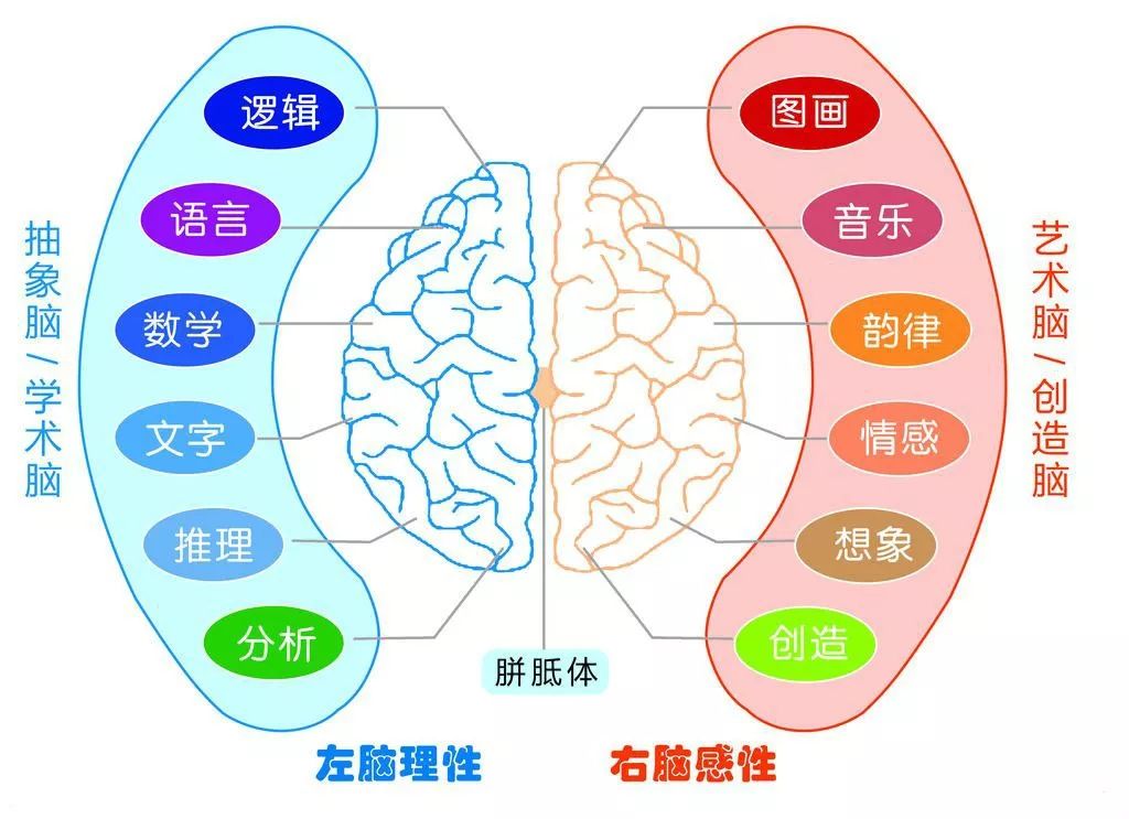 孩子左右脑同时开发的正确方式知道了就很简单