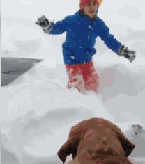 下雪后狗狗出门撒欢，主人懵逼……我的狗呢？