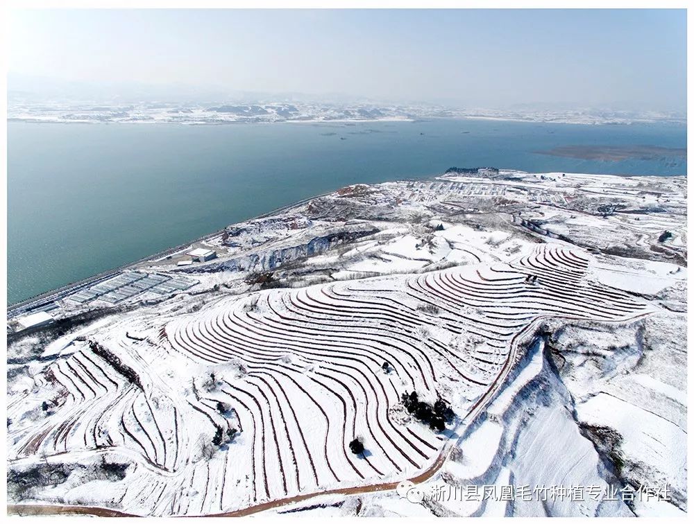 大石桥乡雪景美如画