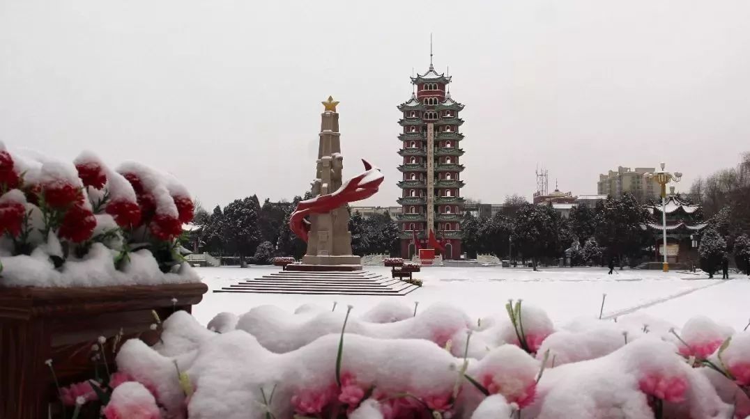 会师园雪景简直美爆了!