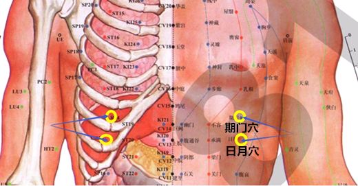 甲状腺疾患的调理