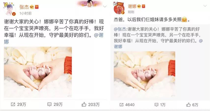 谢娜终于生了!添了这对双胞胎女儿,张杰一定在忙着囤货吧?