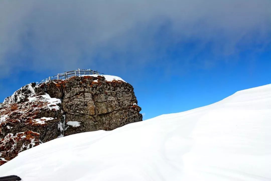 这些让人美到窒息雾淞 1月31日一大早,轿子雪山又双叒叕悄悄的飘下了