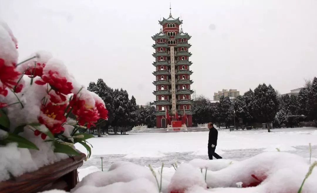 会师园雪景简直美爆了!