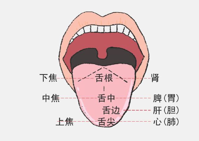 【自测一下】舌苔颜色能暗示身体疾病?