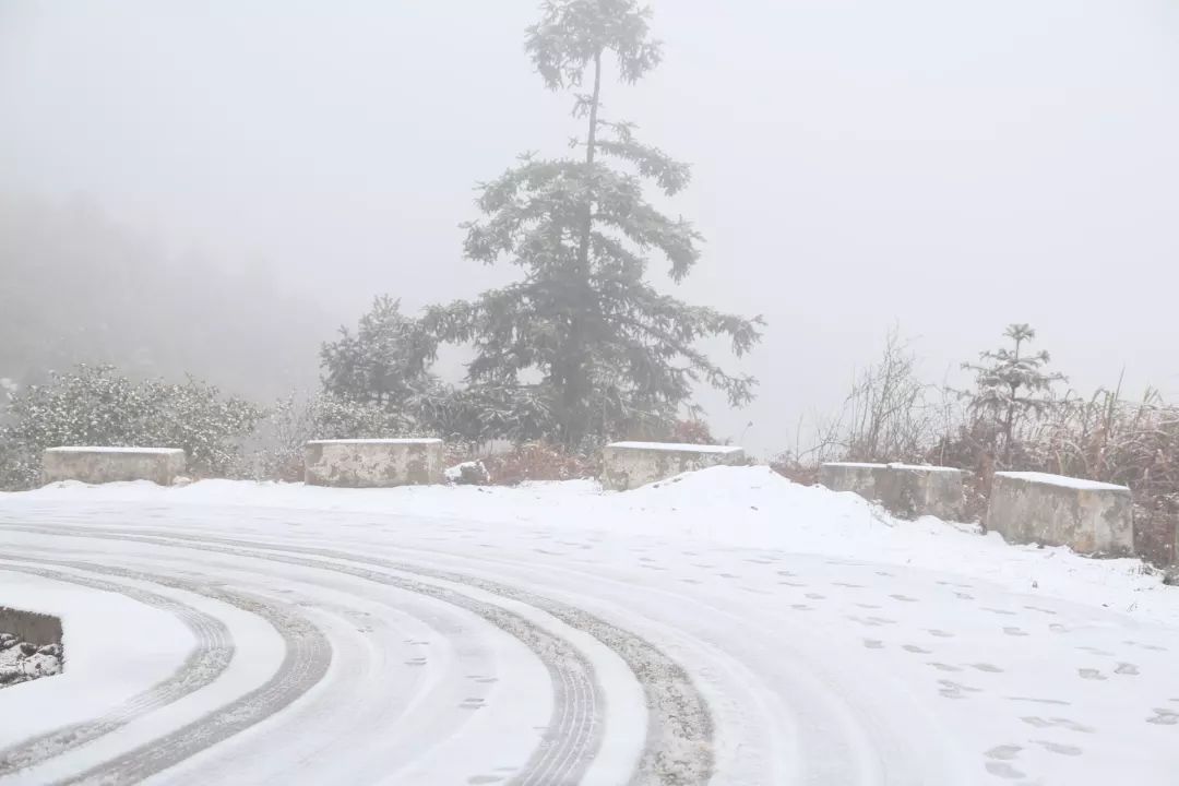 青田终于求雪得雪,多地白茫茫一片!一大波雪景图向你