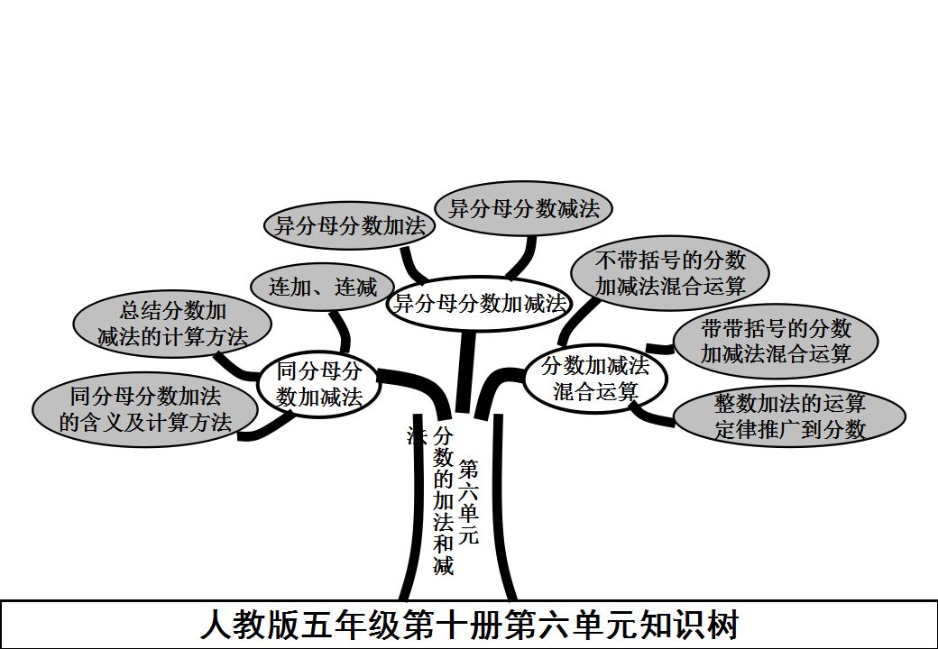 【精品下载】人教版五年级数学下册全册知识树