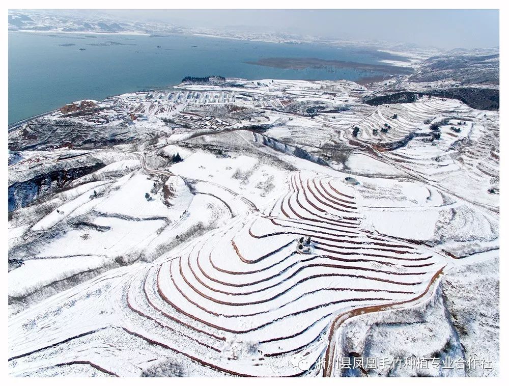 大石桥乡雪景美如画