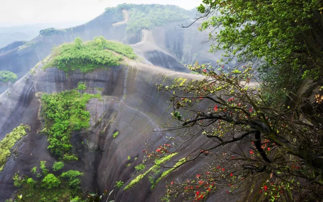 航民村经济总量_世界经济总量图片