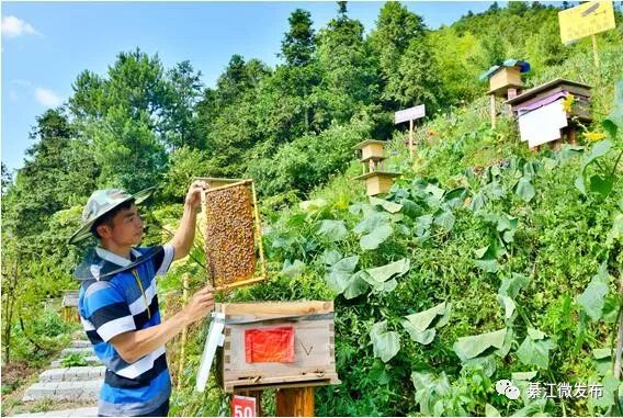 石壕人口_重庆石壕煤矿图片