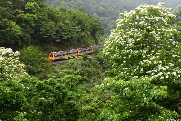 台湾GDP最巅峰_台湾gdp分产业结构图(3)