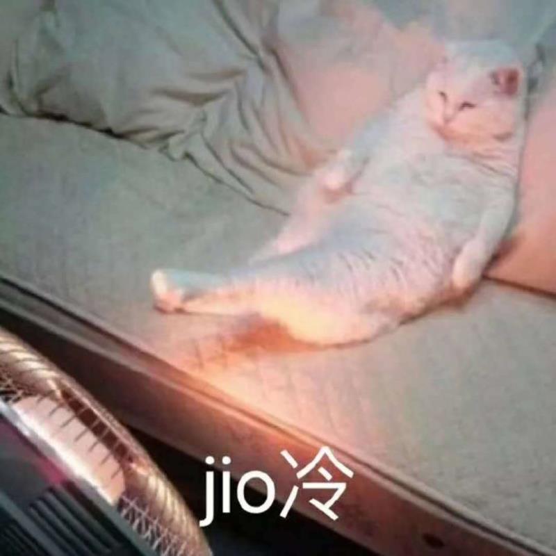 最全的小猫咪烤 jio 合集,快醒醒!烤糊了!