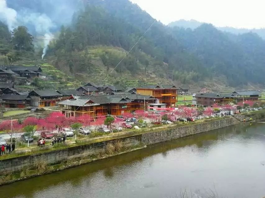 城步苗族自治县丹口镇桃林村民风民俗在邵阳在在邵阳有种龙借助人们