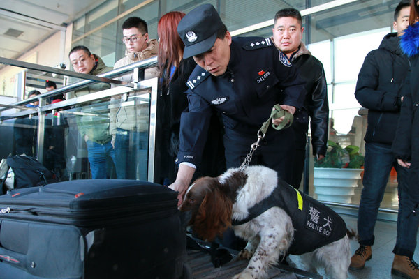 训导员带领警犬开展安检查危工作