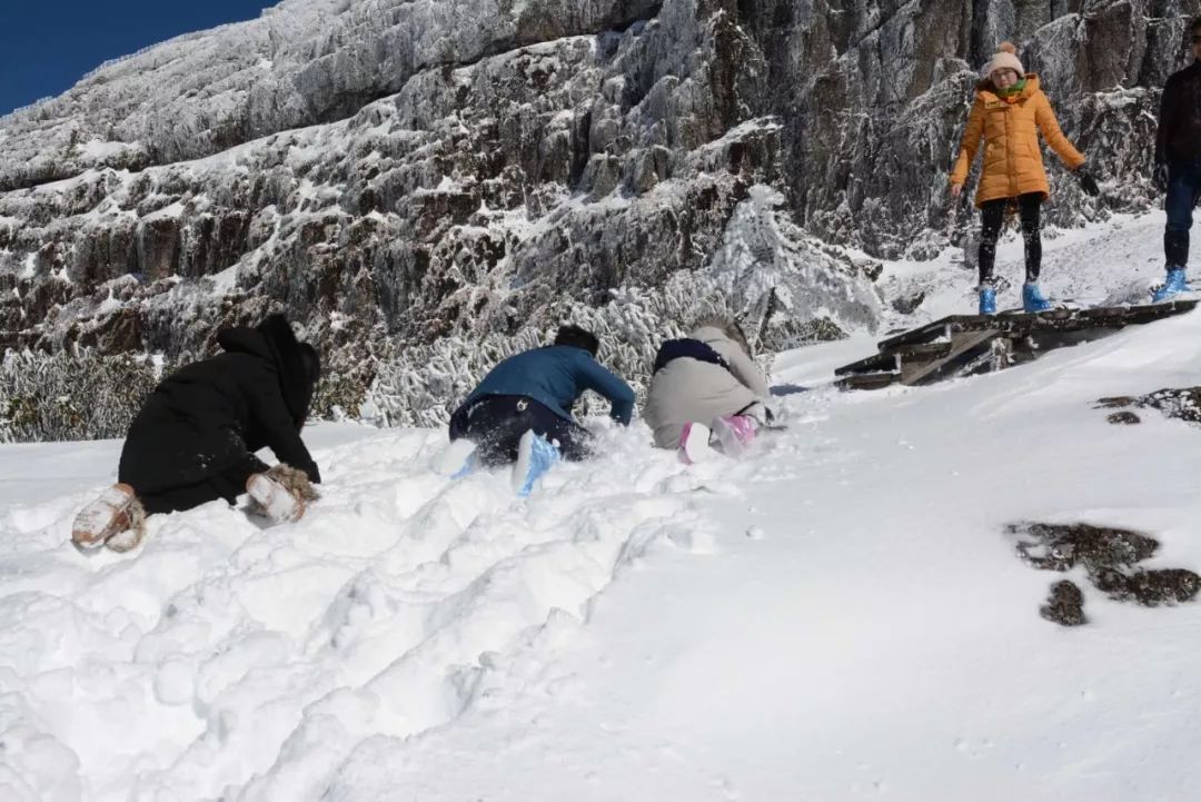 这些让人美到窒息雾淞 1月31日一大早,轿子雪山又双叒叕悄悄的飘下了