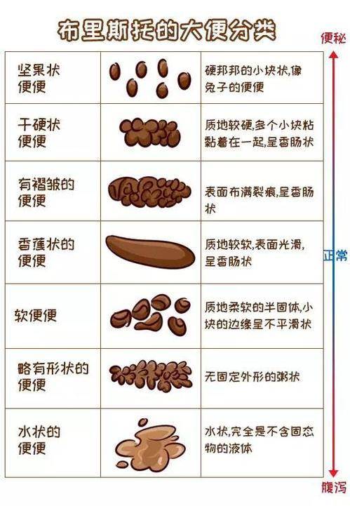 无标题美国专家认为每天三次大便才算正常真的假的文章