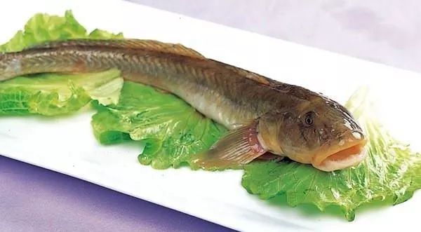 【精彩】连云港名产沙光鱼 虾虎鱼肉质鲜嫩,口感润滑
