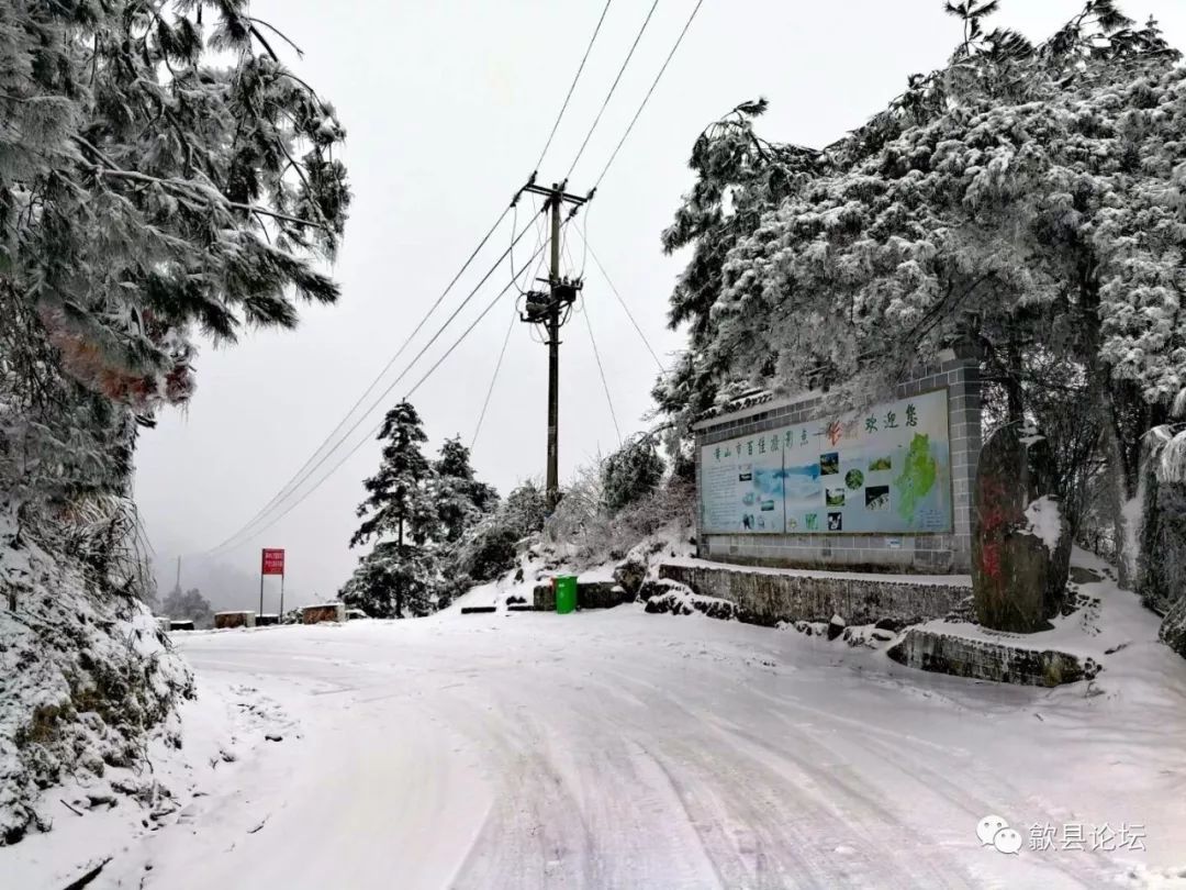 紧急提醒长陔岭又下雪了岭口和谷丰路口临时交通管制