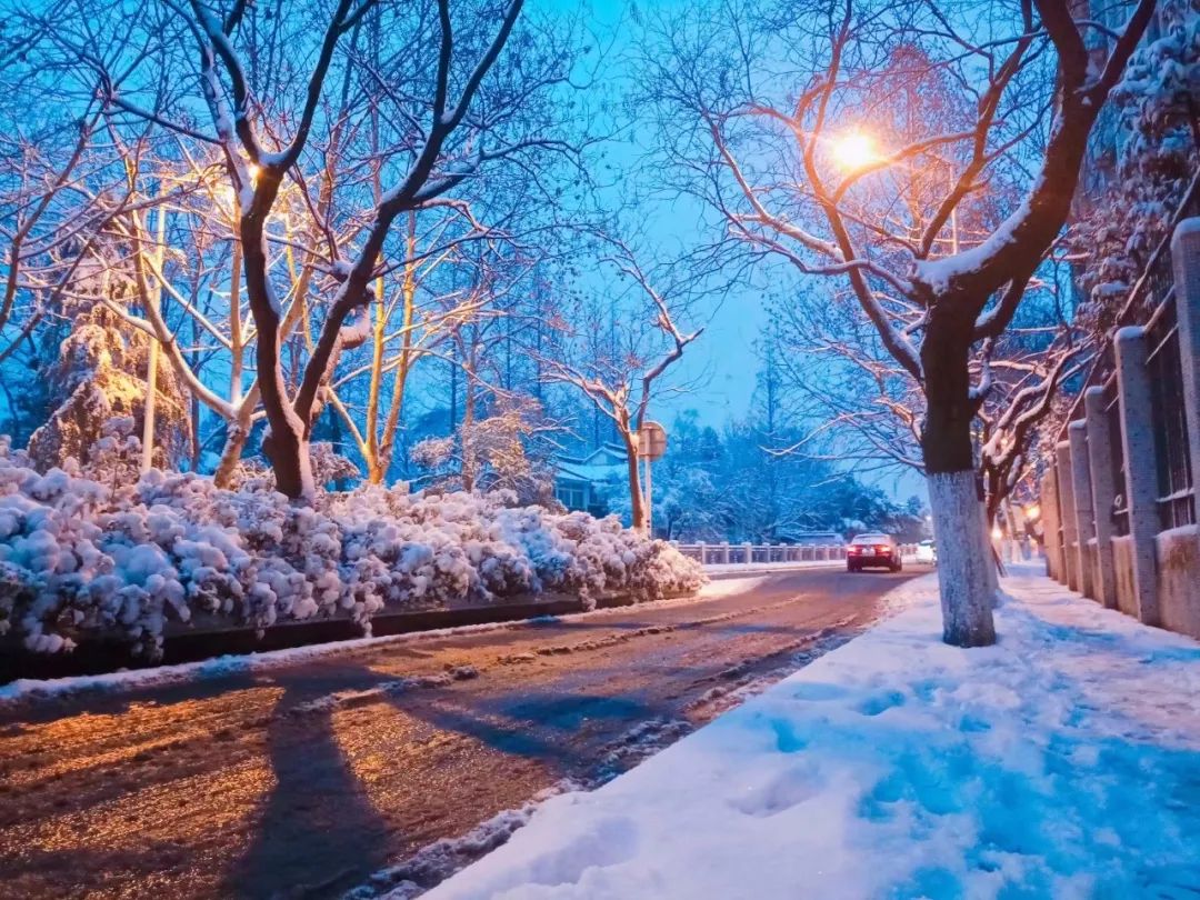 苏州的雪花飞舞飘落,犹如舞蹈家从空中舞动,姿态优美动人.