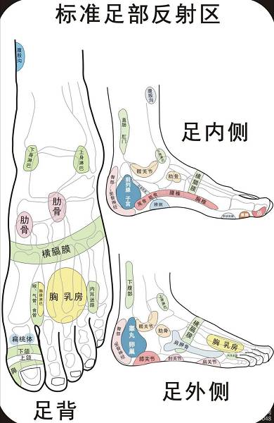 专家谈穿对鞋养好脚