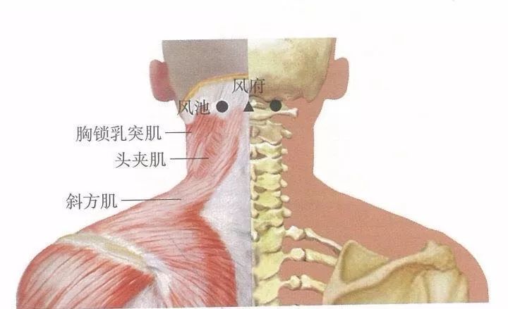 怎么炙人口_中医针炙处方怎么写