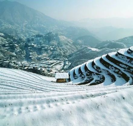 这个冬天,我想和你一起去龙脊梯田看雪!