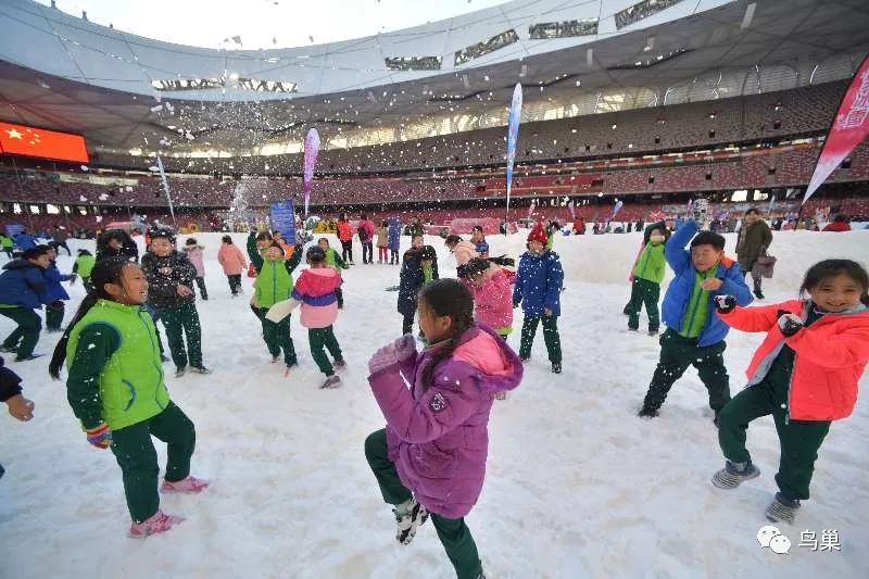 "欢乐鸟巢,圆梦冰雪!