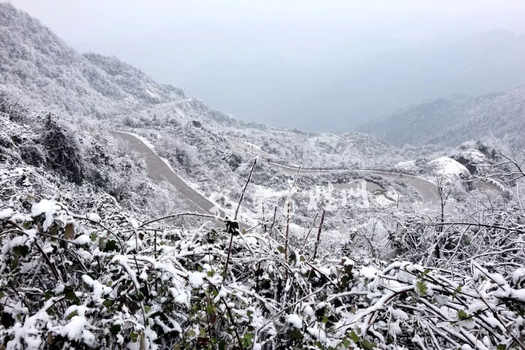 筠连大雪山的雪如此勾魂摄魄难怪那么多人跑去观赏