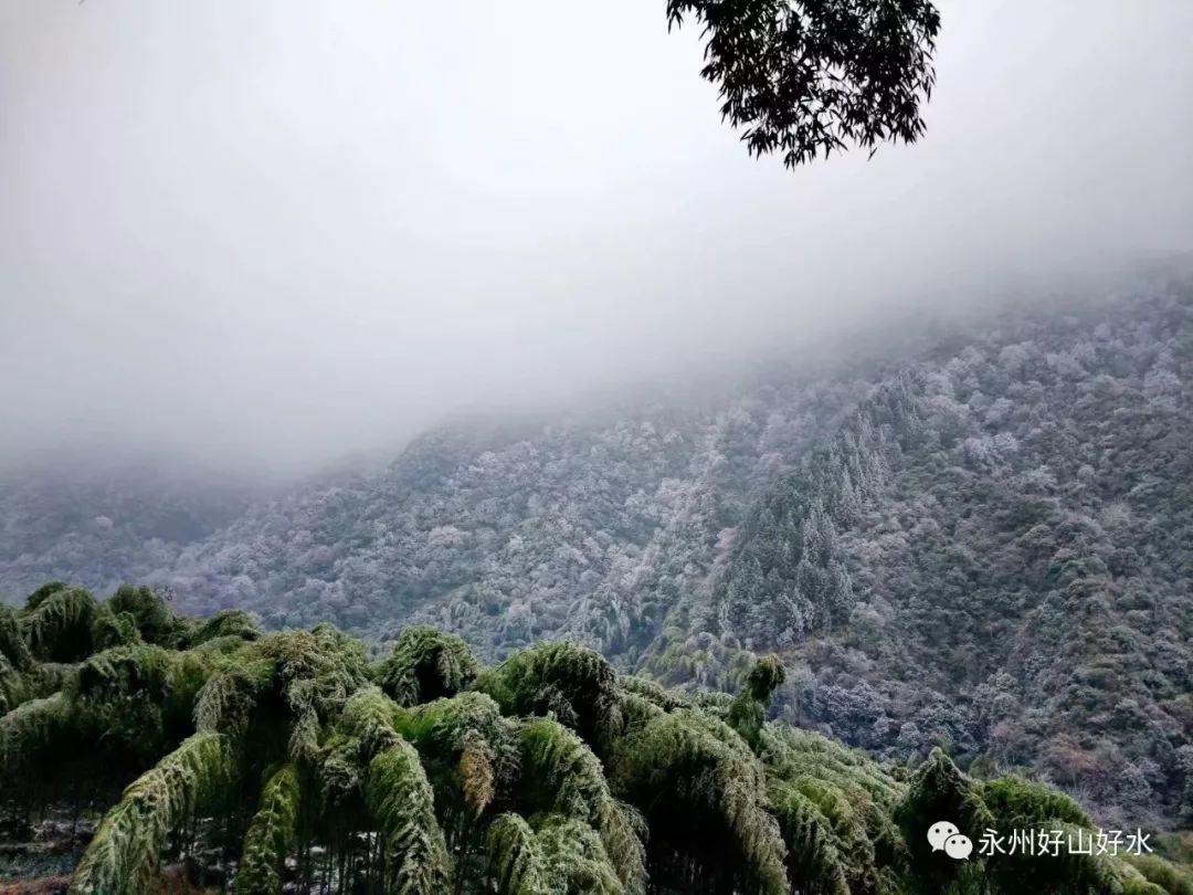 15位驴友8小时环穿冰雪舜皇山,欣赏冰晶雪景!