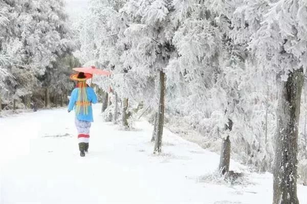 隆回花瑶雪景:我看伊人 伊人看雪