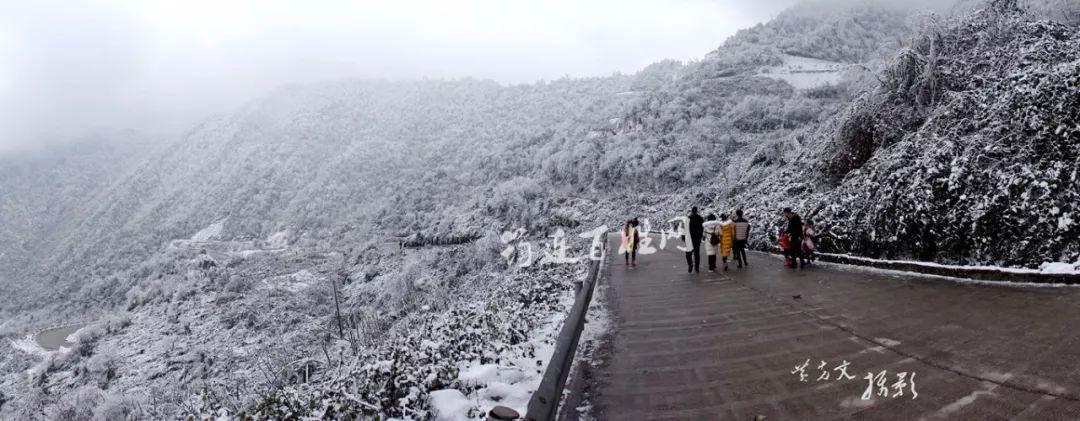 筠连大雪山的雪如此勾魂摄魄难怪那么多人跑去观赏