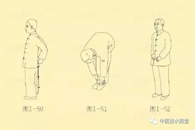 轻松固肾功—养肾又能调颈腰椎