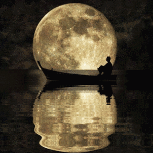 152年一遇,东西湖人今晚一定要抬头看月亮,不然错过就
